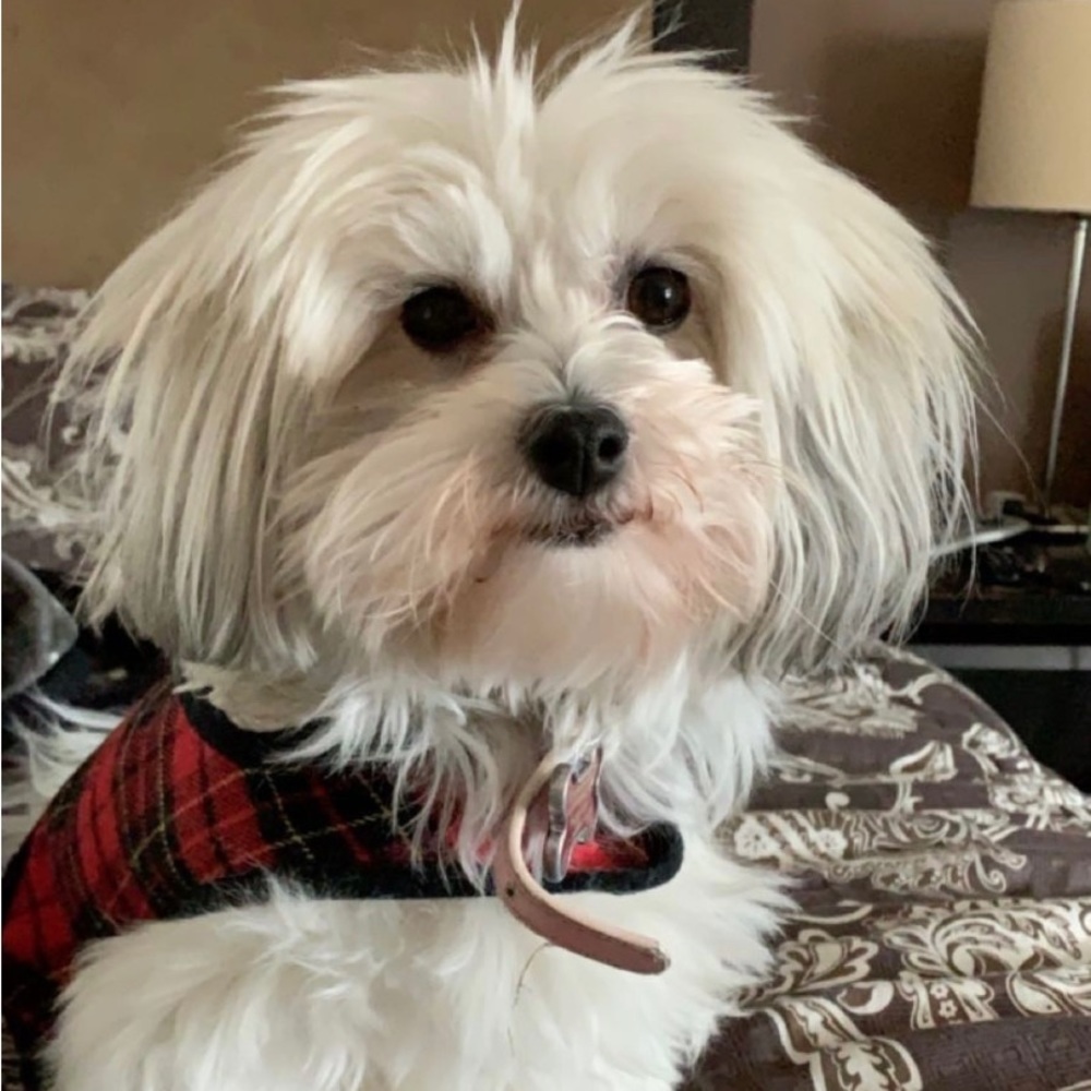 Meet your Posher, Vanessa